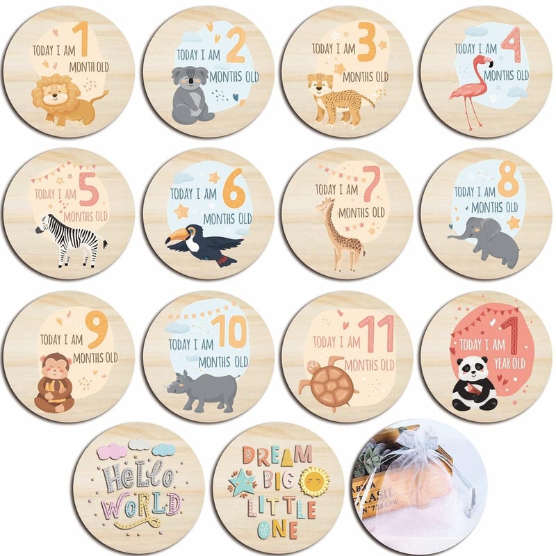 RORANIC Baby Monthly Milestone Cards for Newborn Girl or Boy,Safari Monthly Baby Milestone Cards Baby Anniversary Signs,Baby Shower Cards Come with Organza Gift Bag (Milestone Wooden Circles) - Image 1